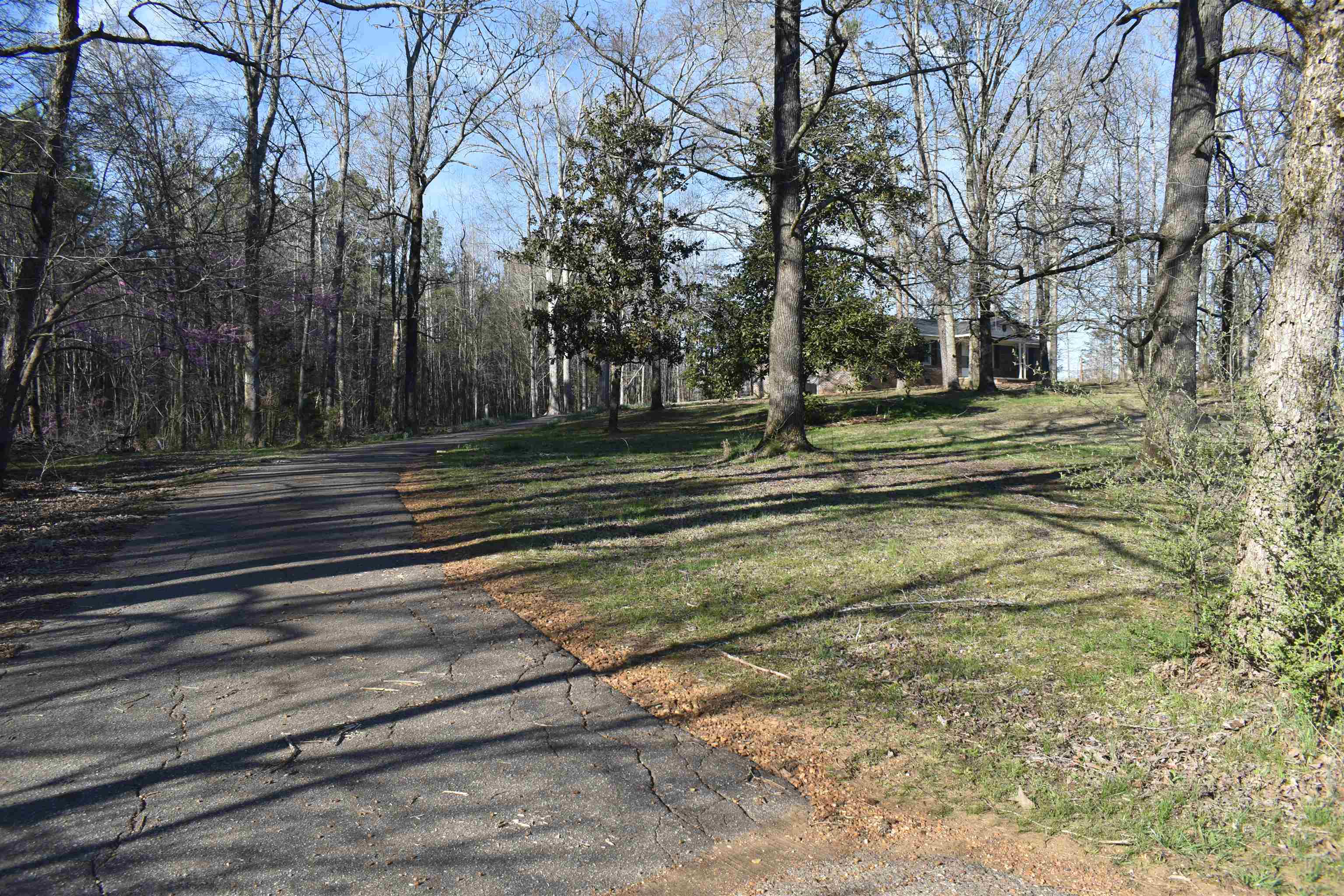 255 West 57th Highway Ramer, TN 38367 - Photo 5 of 24 Gallery Image 5