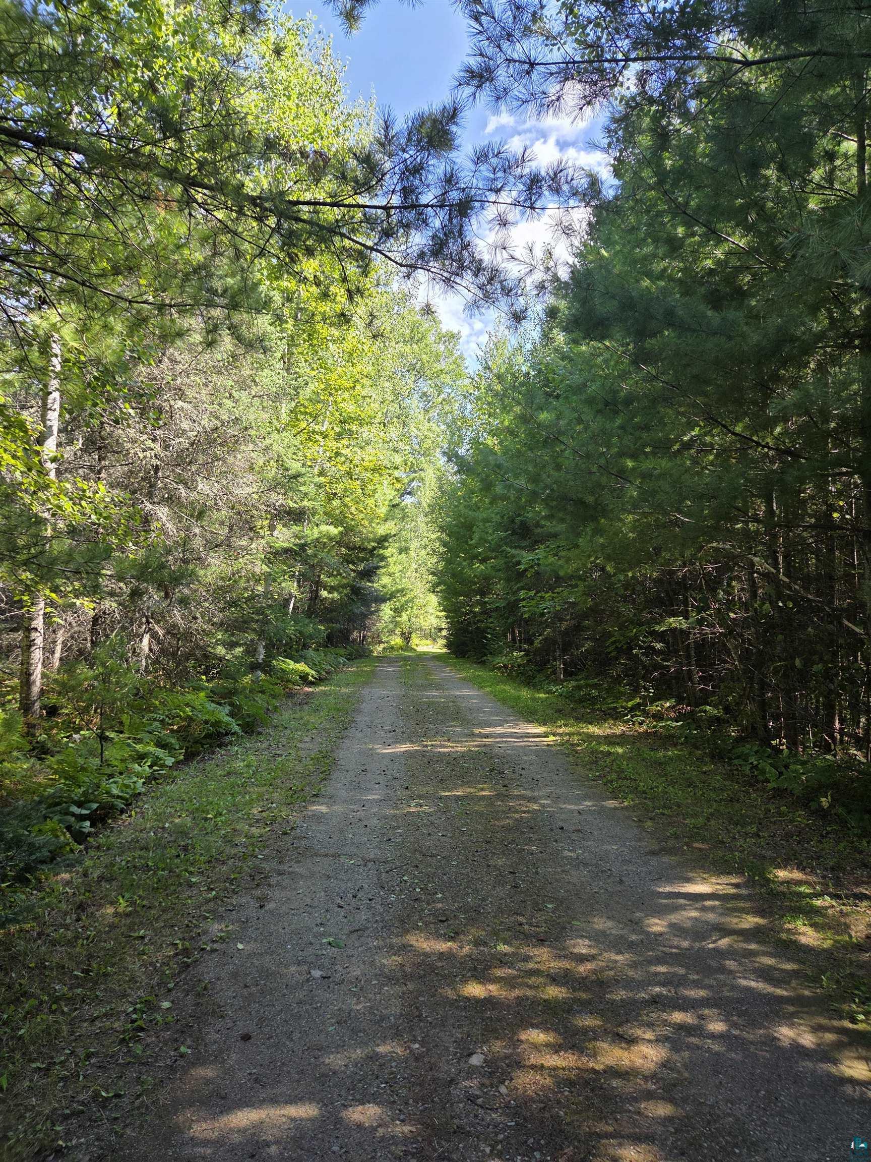 1663 Saari Road Ely, MN 55731 - Photo 25 of 31 Driveway to Home