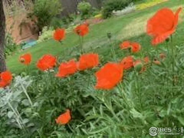 $399,000 | 1219 23rd Ave Court, Greeley, CO 80634