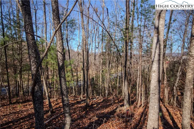 $49,000 | 401 Huntington Woods Drive North, Lenoir, NC 28645