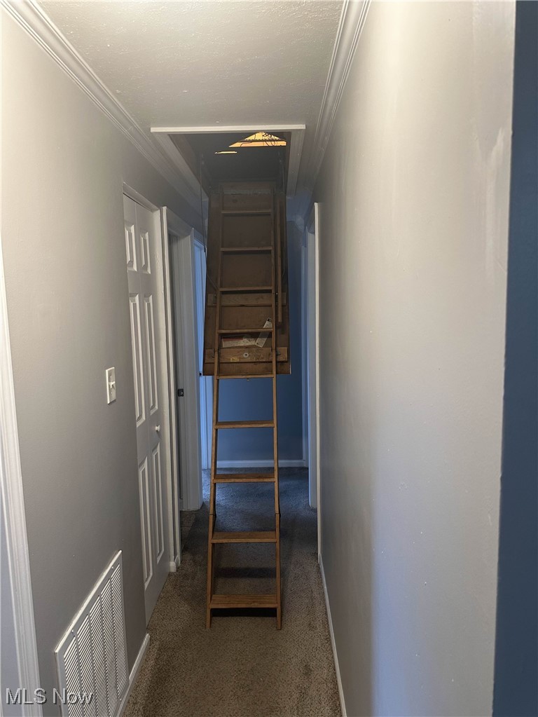 558 Frost Road Streetsboro, OH 44241 - Photo 17 of 32 Inside hallway pull down stairs to the house attic ornamental , carpet floors, and a textured ceiling
