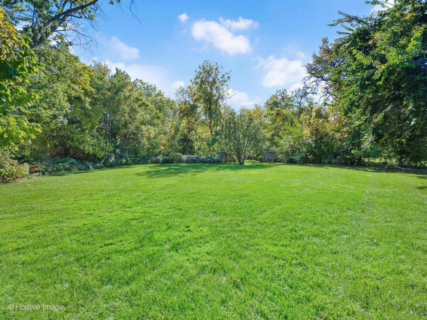 5509 Bohlander Avenue Berkeley, IL 60163 - Photo 21 of 23