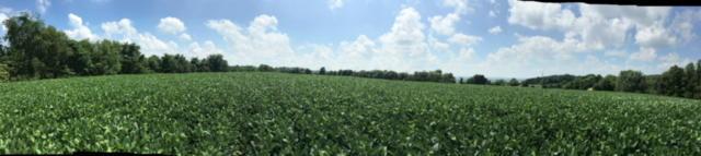 4310 Mile Hill Road Southwest Lancaster, OH 43130 - Photo 13 of 28 Gallery Image 13
