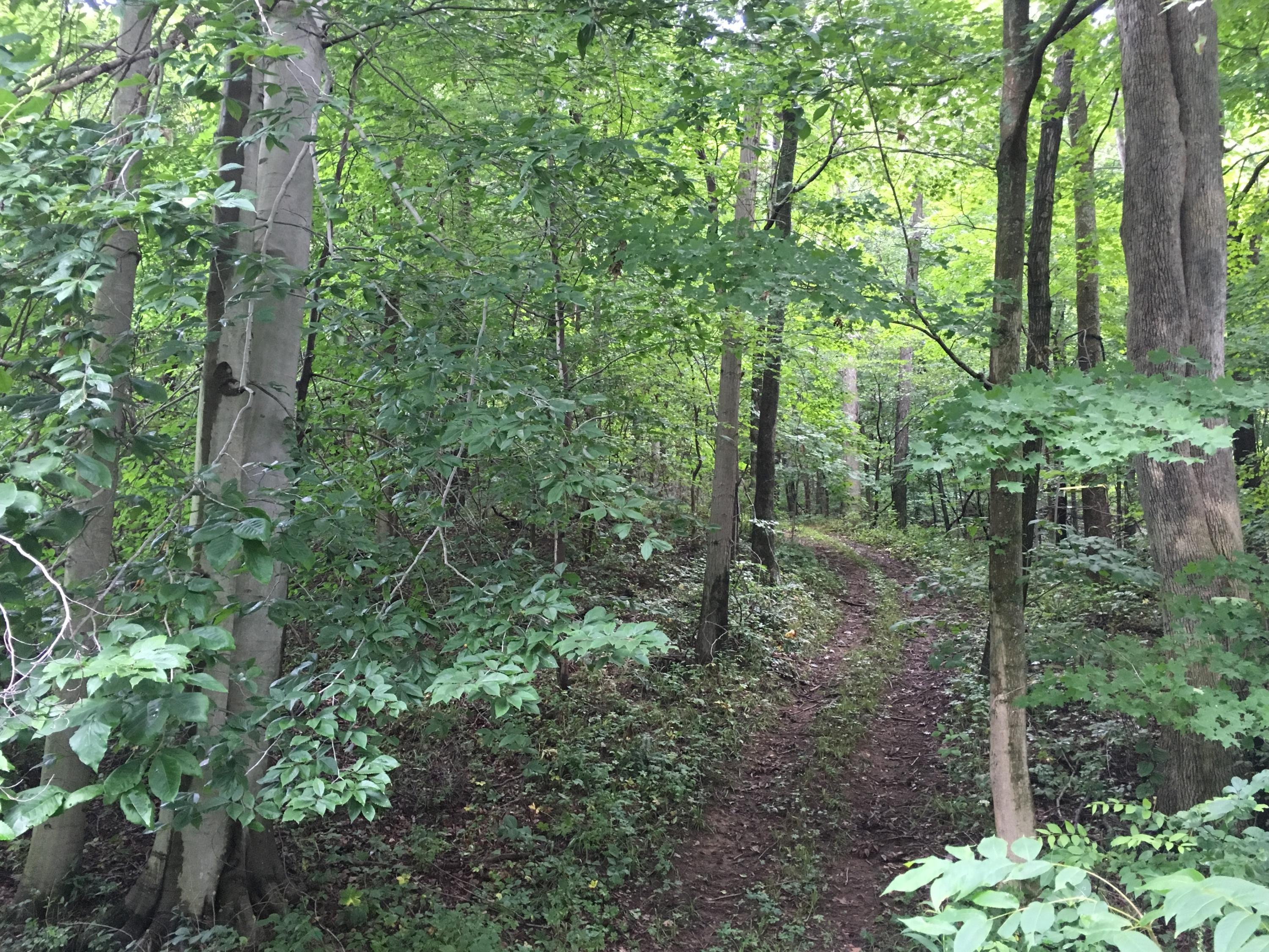4310 Mile Hill Road Southwest Lancaster, OH 43130 - Photo 16 of 28 Gallery Image 16
