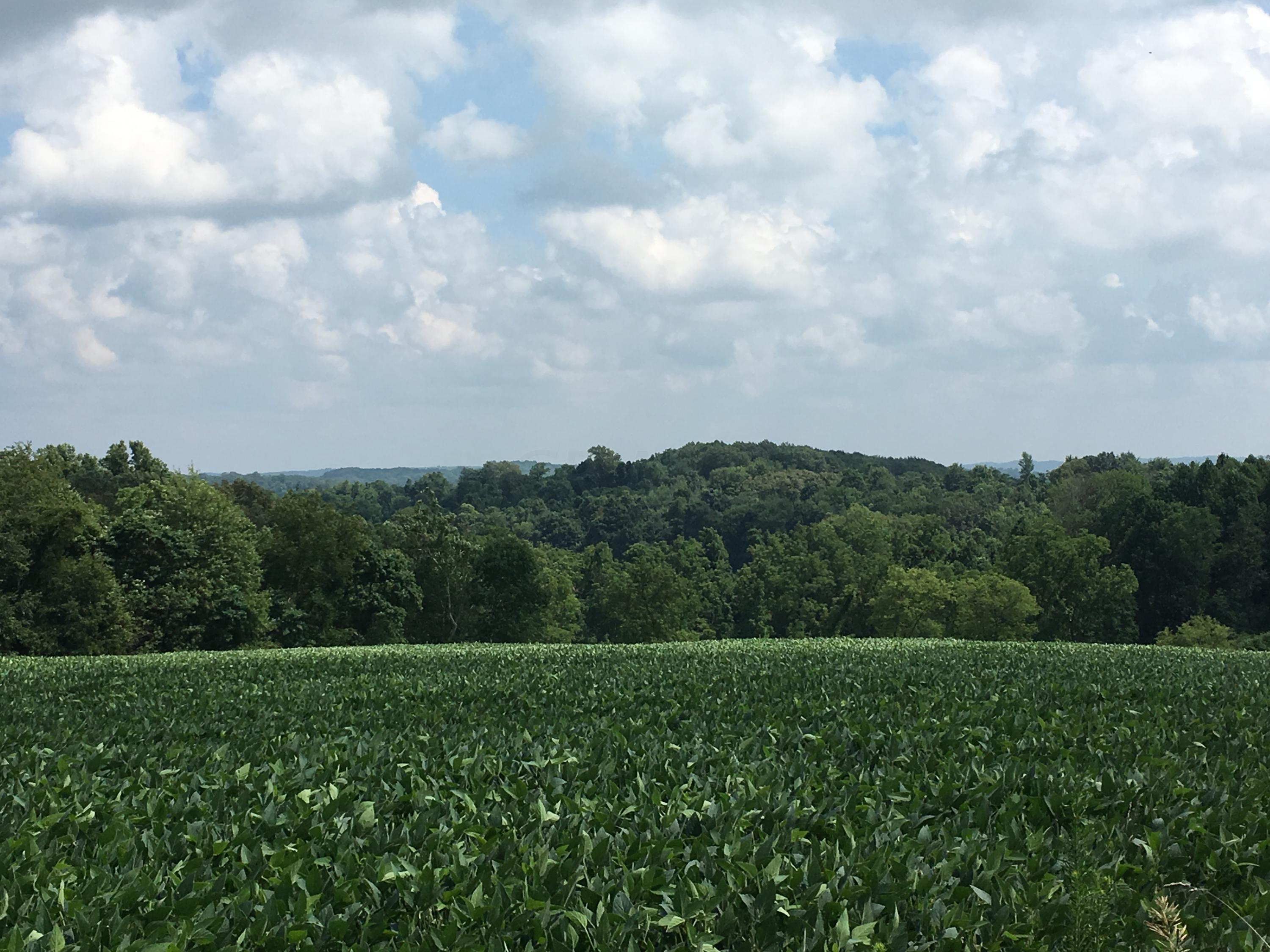 4310 Mile Hill Road Southwest Lancaster, OH 43130 - Photo 17 of 28 Gallery Image 17