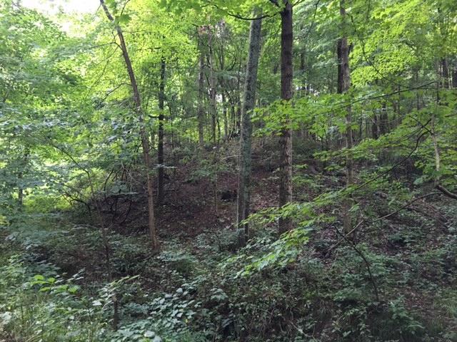 4310 Mile Hill Road Southwest Lancaster, OH 43130 - Photo 27 of 28 Gallery Image 27