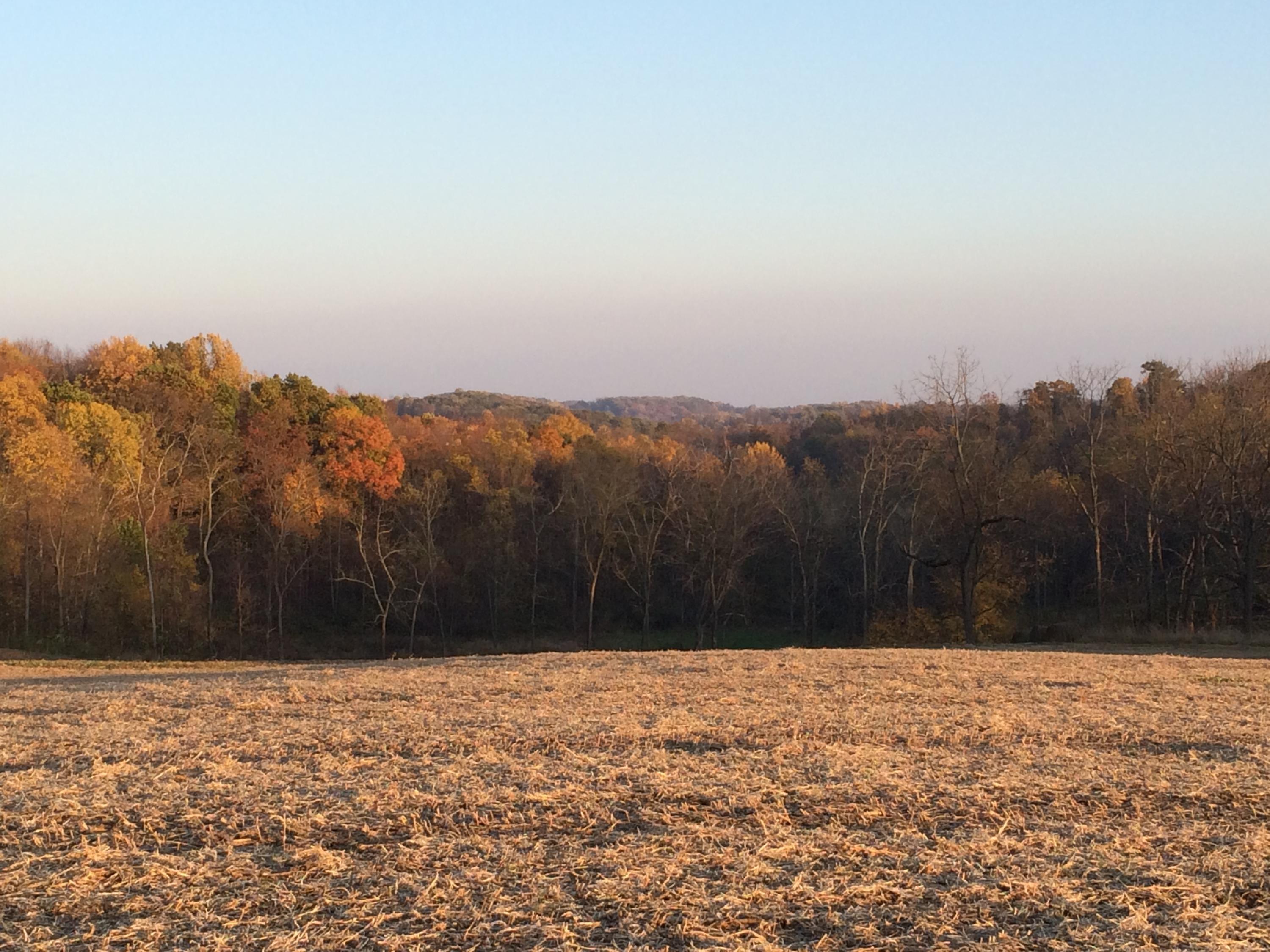 4310 Mile Hill Road Southwest Lancaster, OH 43130 - Photo 3 of 28 Gallery Image 3