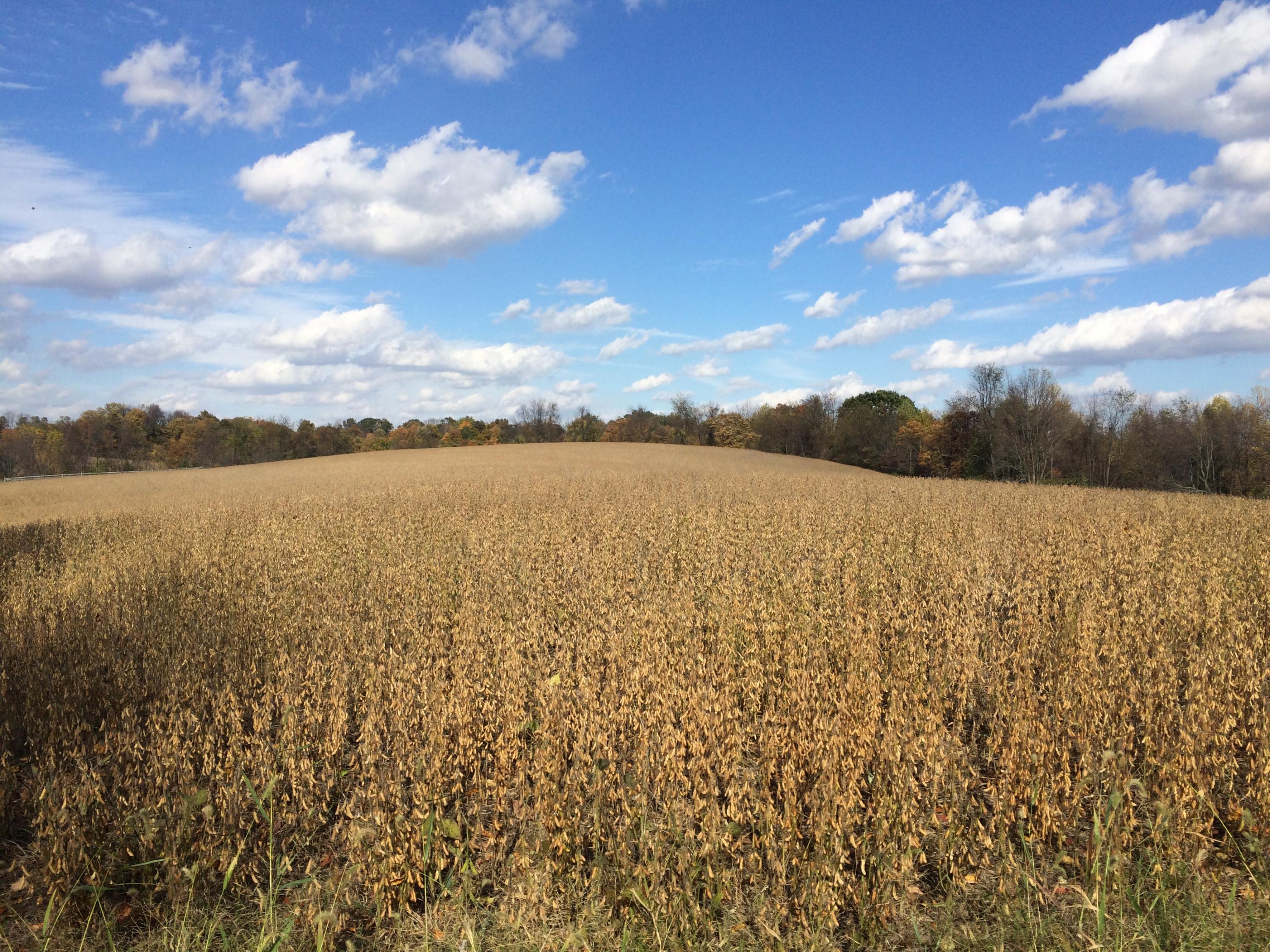 4310 Mile Hill Road Southwest Lancaster, OH 43130 - Photo 5 of 28 Gallery Image 5