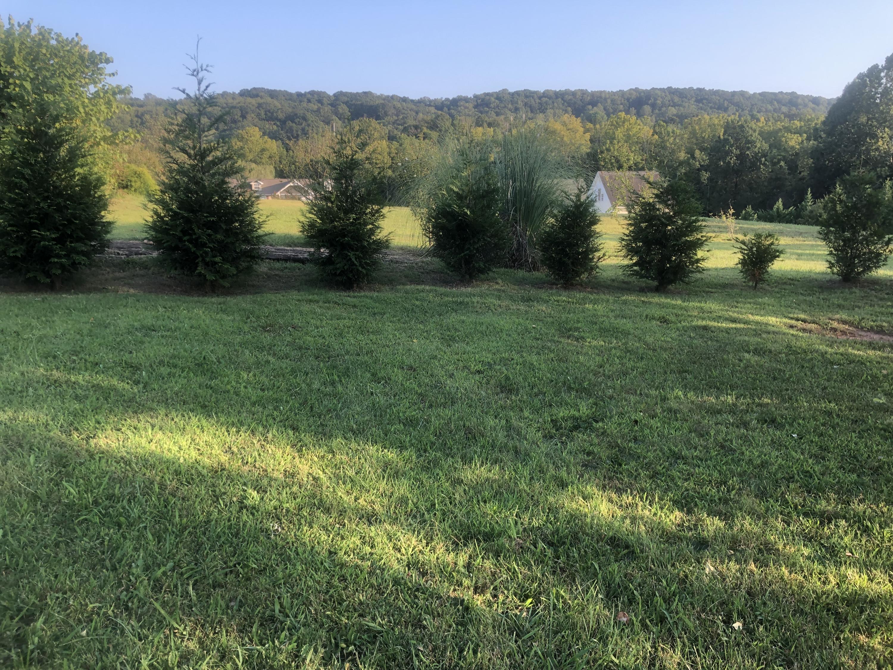3320 Cunningham Road Knoxville, TN 37918 - Photo 7 of 31 3906D801-3B64-4721-9747-4B4C6EF07077