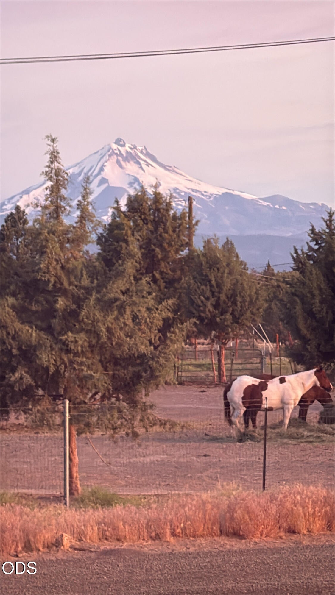 15317 Southwest Steelhead Road Terrebonne, OR 97760 - Photo 6 of 62 Gallery Image 6