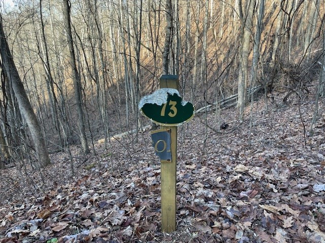 Lot 73 Hidden Treasure Murphy, NC 28906 - Photo 9 of 26
