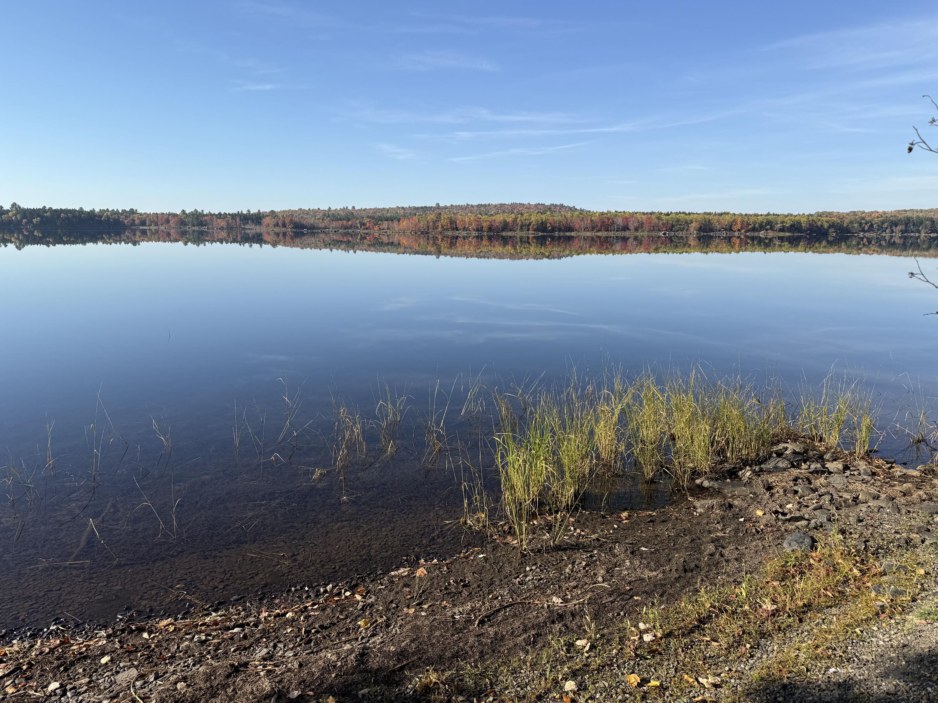 55 McNelly Road Island Falls, ME 04747 - Photo 7 of 39 IMG_8331