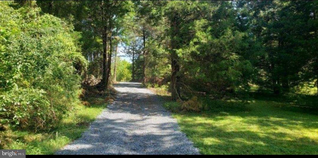 9001 Stage Coach Road Nathalie, VA 24577 - Photo 6 of 19 Serene gravel path through greenery.