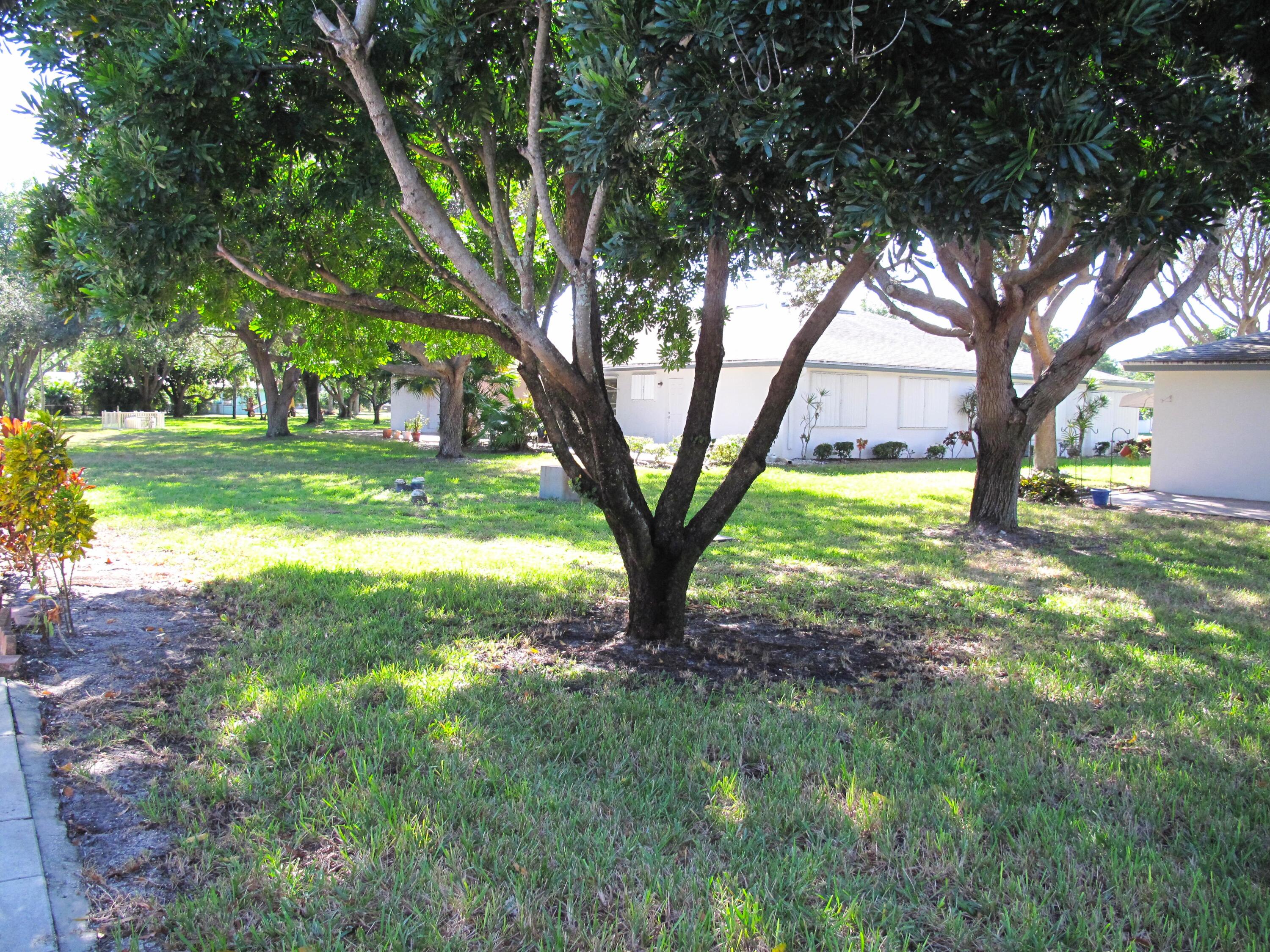 1162 Circle Drive, Unit B Delray Beach, FL 33445 - Photo 20 of 31 a view of a yard with a tree