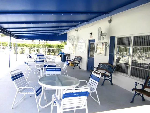 a view of a park with palm trees