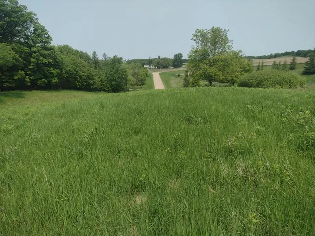 $59,000 | Lot 1-block Crystal Beach Road, Pelican Rapids, MN 56572