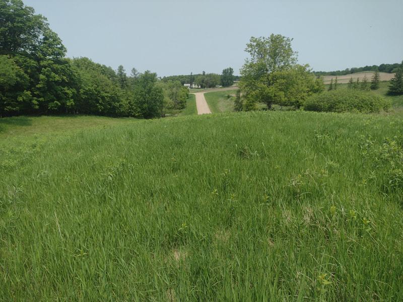 Lot 1-block Crystal Beach Road Pelican Rapids, MN 56572 - Photo 1 of 4