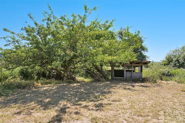 a view of a outdoor space with a tree