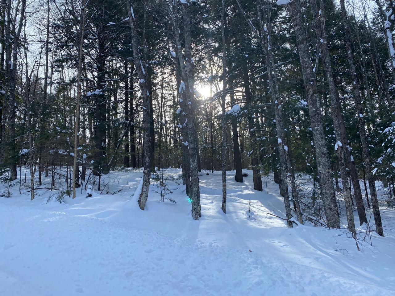 Lot 25 Black Forest Road Presque Isle, WI 54557 - Photo 3 of 4 Gallery Image 3