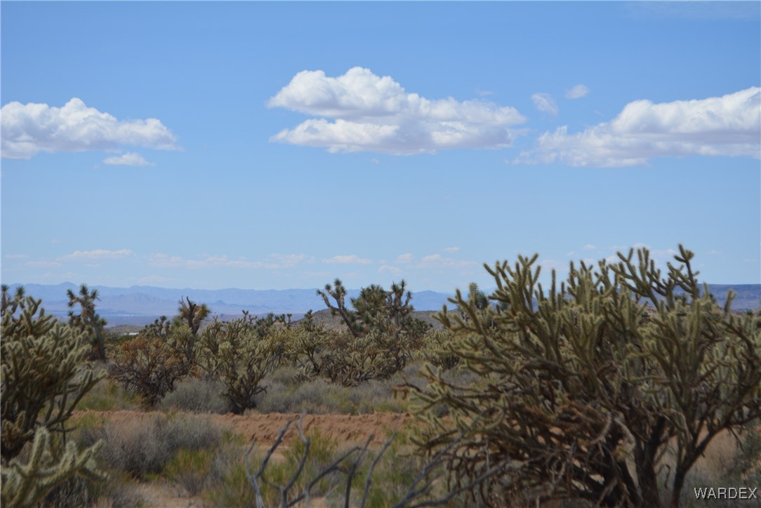 11900 Alan Road Yucca, AZ 86438 - Photo 98 of 99 Gallery Image 98