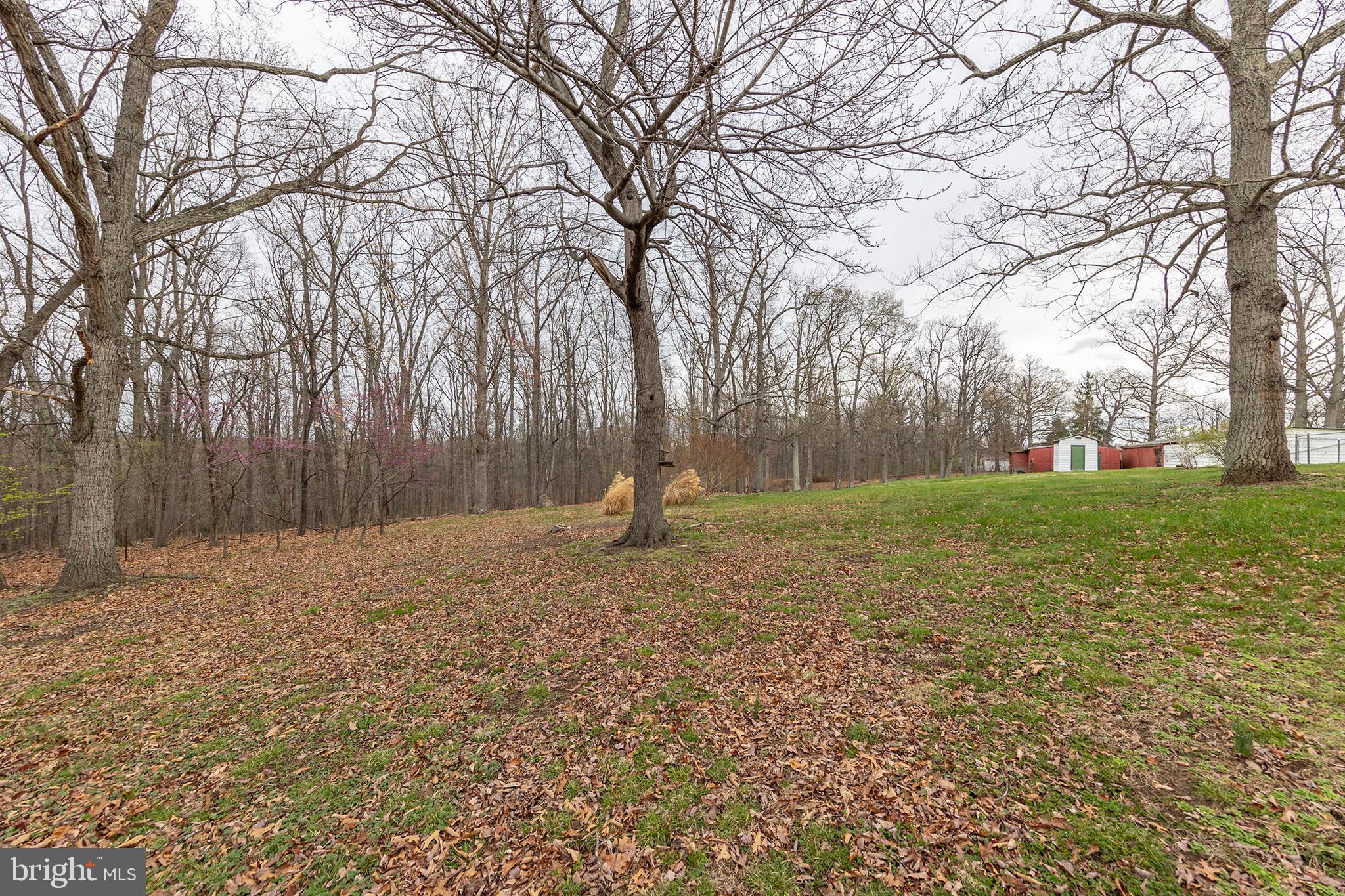 500 McDonald Road Winchester, VA 22602 - Photo 33 of 47 Gallery Image 33