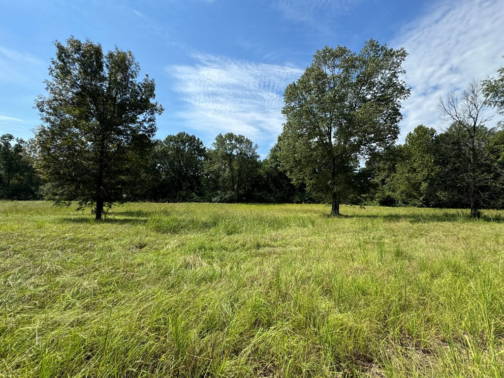 2043 James Road Wesson, MS 39191 - Photo 42 of 46 Photo 42