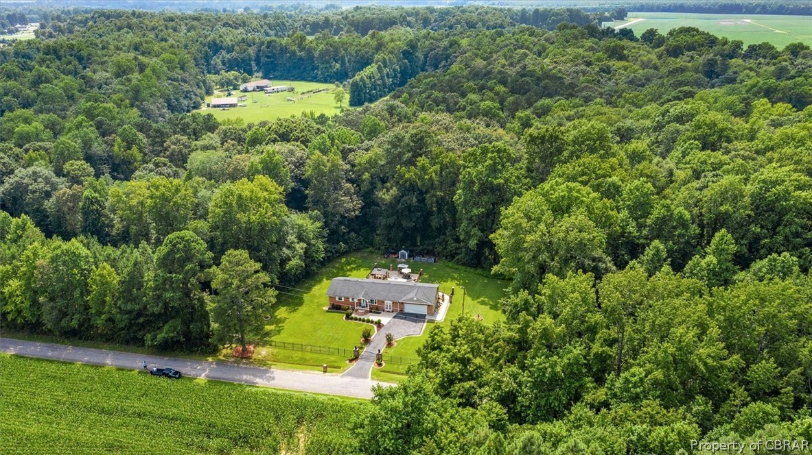 259 Clubhouse Road Dendron, VA 23839 - Photo 41 of 50 Gallery Image 41