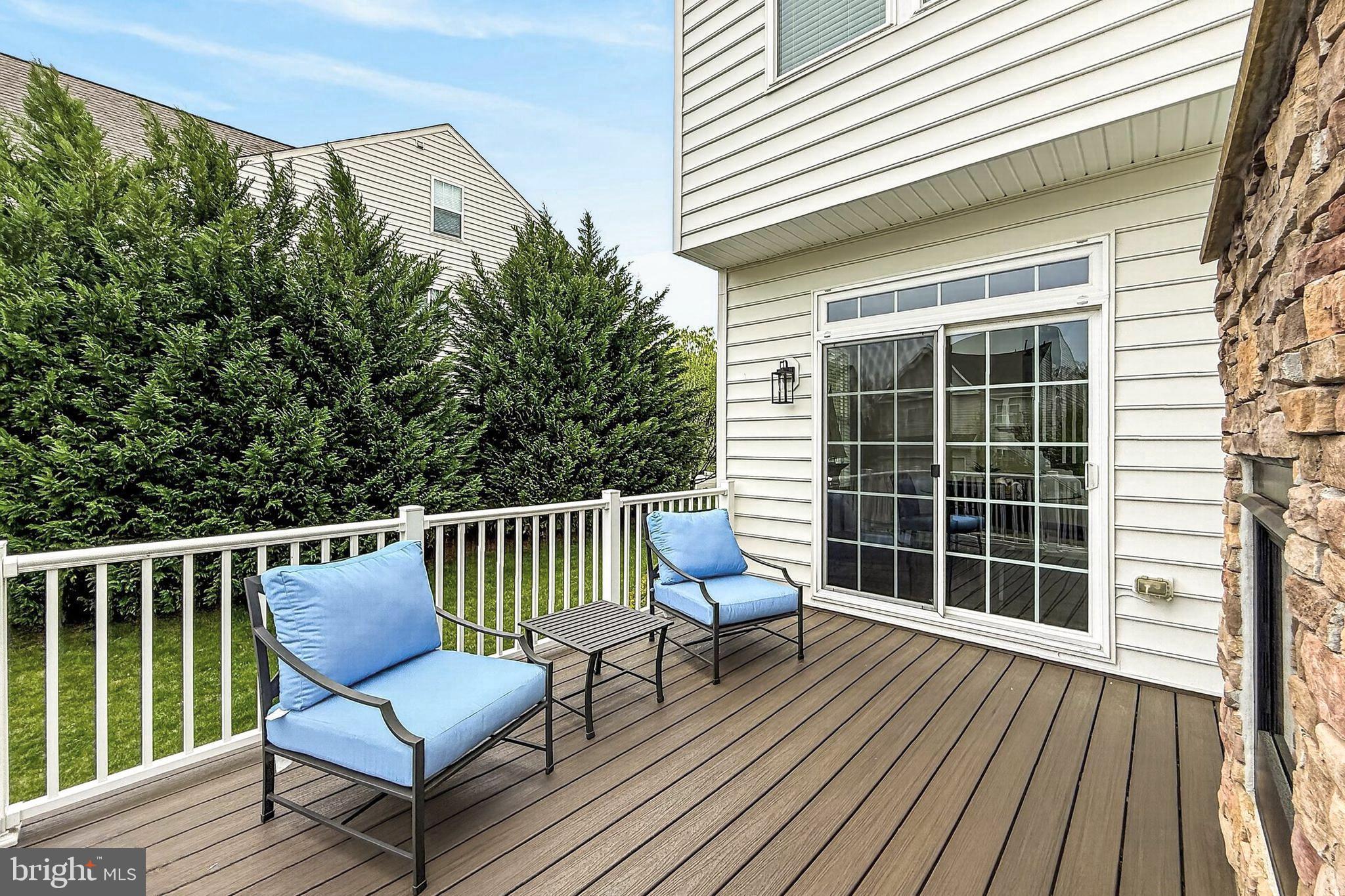 41004 Indigo Place Leesburg, VA 20175 - Photo 26 of 64 Big Beautiful Evergreen Trees