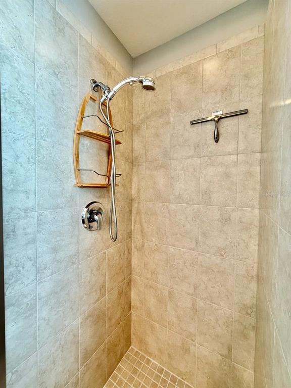 6545 Simone Shores Circle Apollo Beach, FL 33572 - Photo 37 of 46 a bathroom with a shower