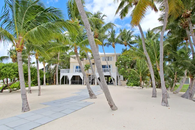 a living room with furniture or couch and a potted plant