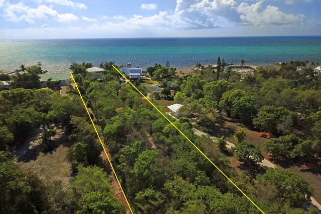 a view of a swimming pool with a yard
