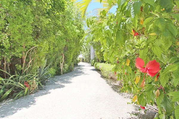 $6,500,000 | 88547 Old Highway, Tavernier, FL 33070