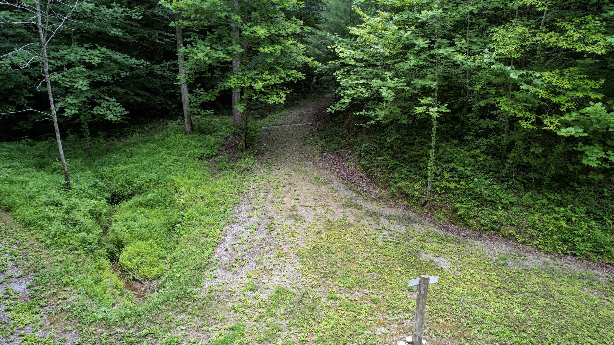 201 Campbell Branch Road Reliance, TN 37369 - Photo 65 of 99