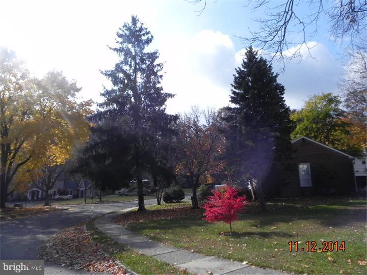 12 Devonwood Road Wayne, PA 19087 - Photo 4 of 16 a view of a backyard with large trees
