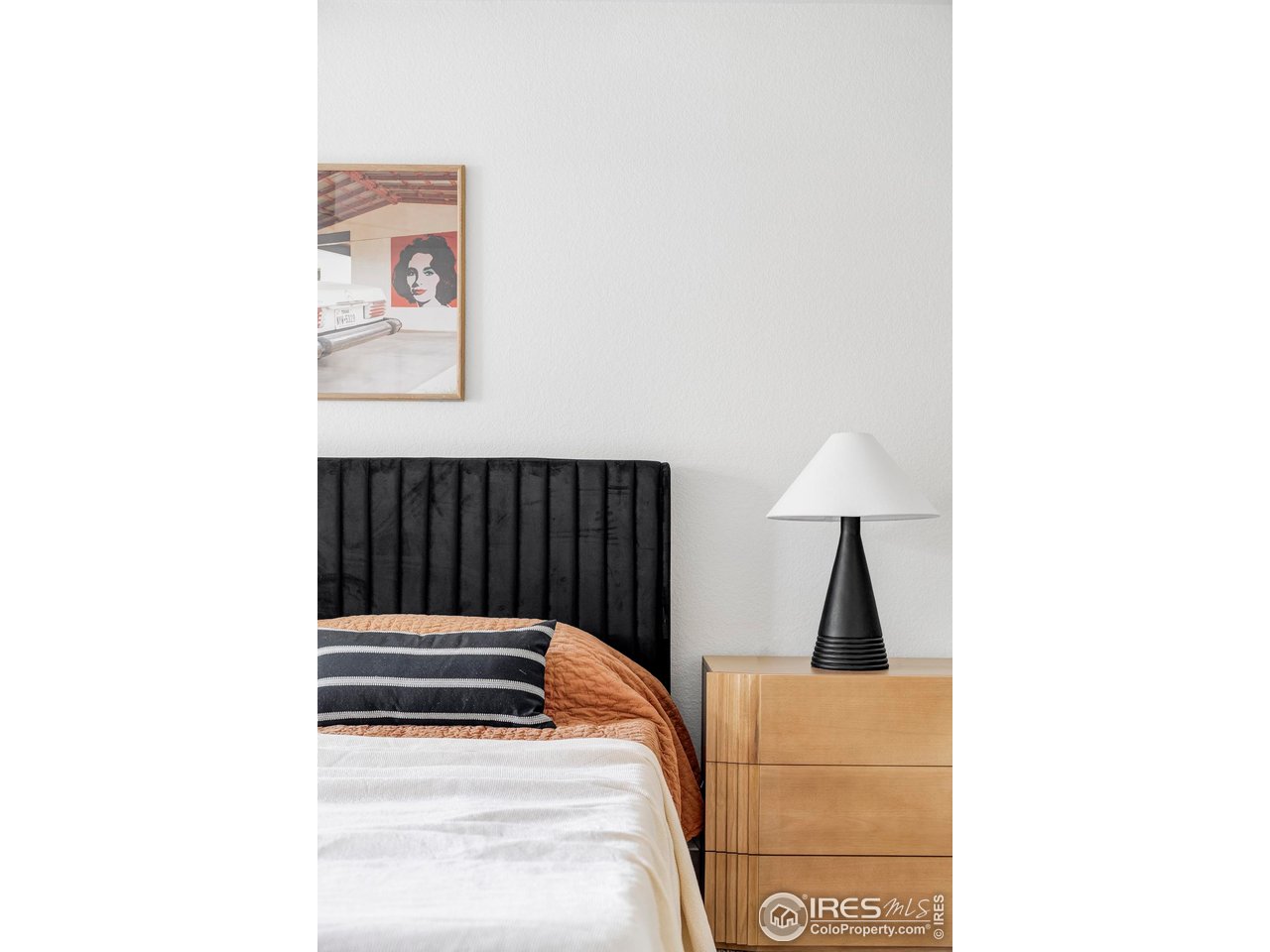 1112 Robertson Street Fort Collins, CO 80524 - Photo 21 of 40 a living room with a rug and a lamp