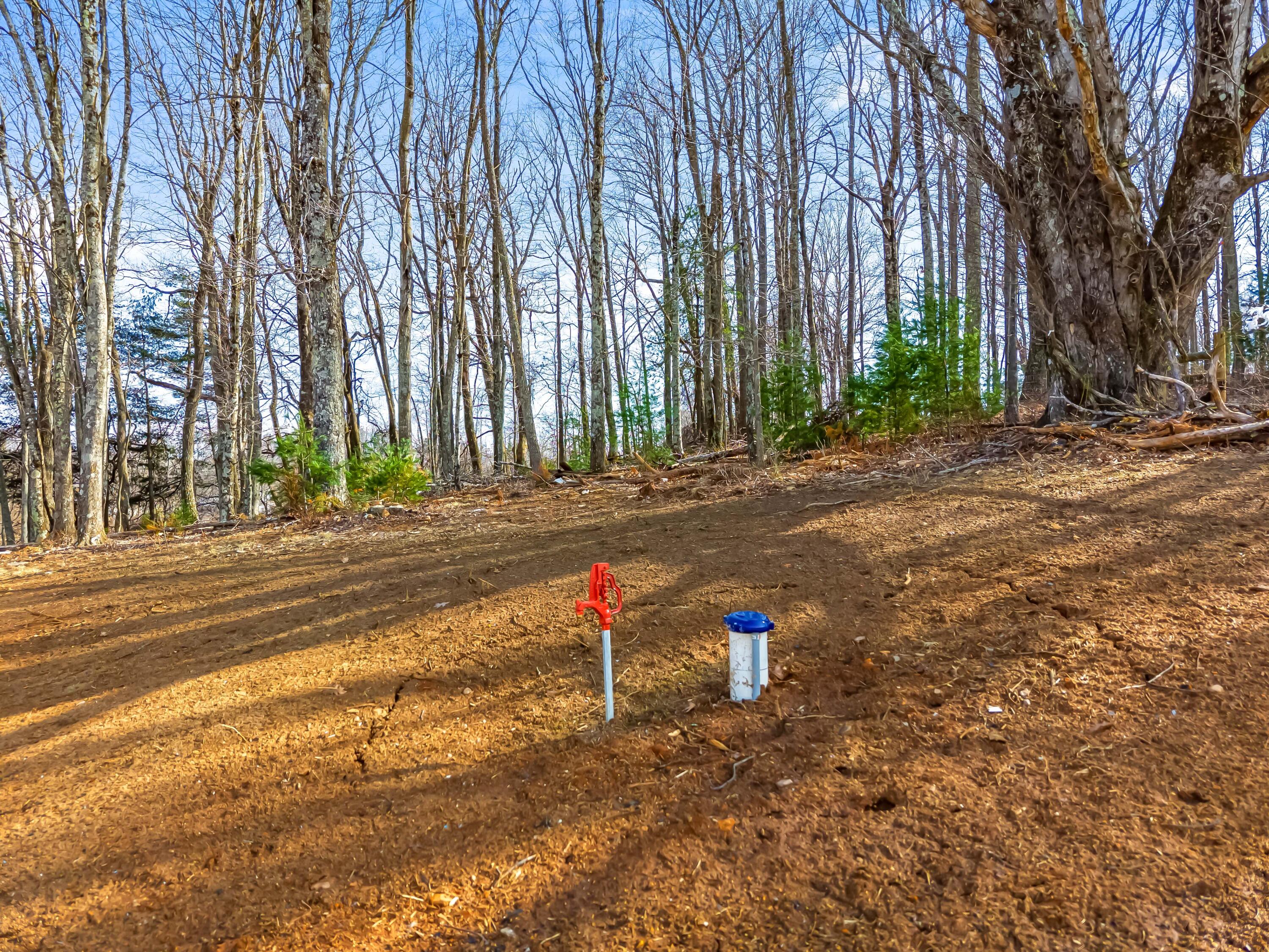 1047 Barberry Road Southeast Floyd, VA 24091 - Photo 47 of 50 a view of a road with a yard and large trees