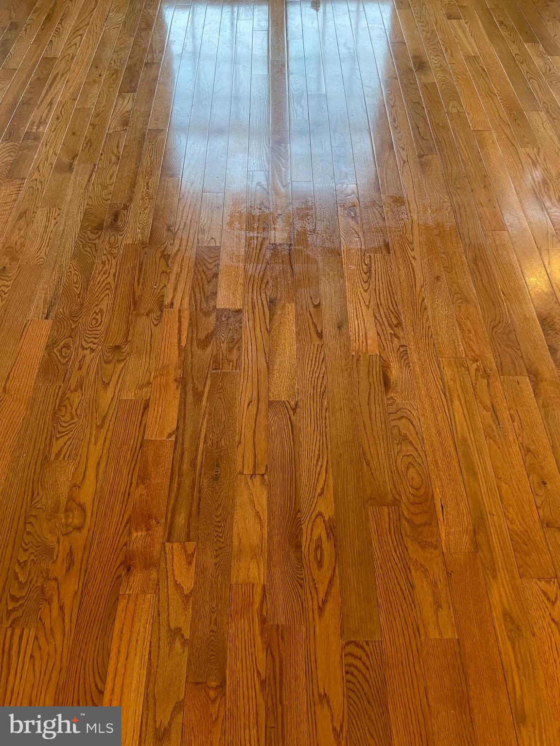 116 Couples Drive Newark, DE 19702 - Photo 17 of 43