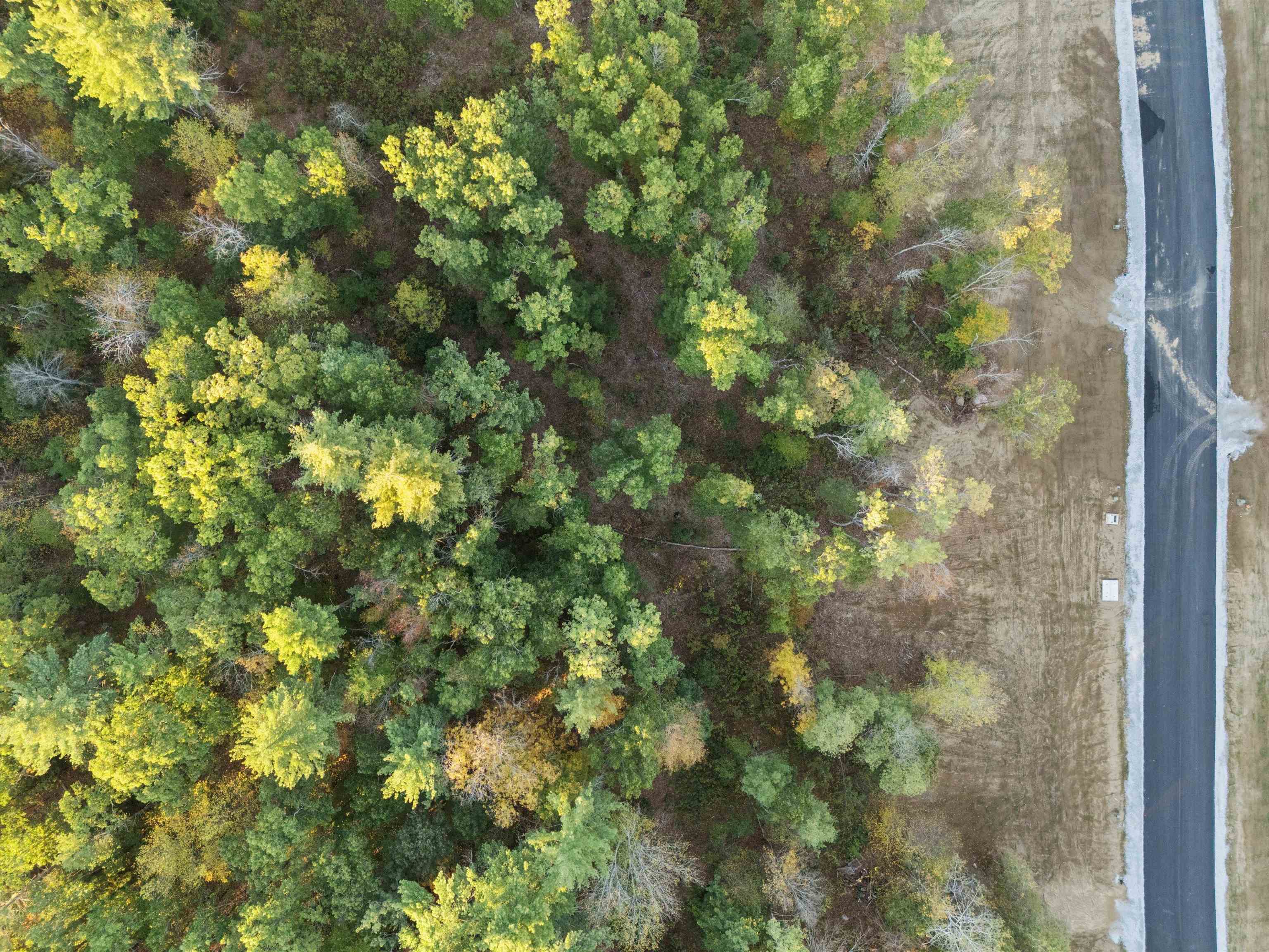 Pear Tree Lane Epping, NH 03042 - Photo 4 of 16