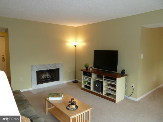 2216 Springwood Drive, Unit 101 Reston, VA 20191 - Photo 5 of 28 Living Room