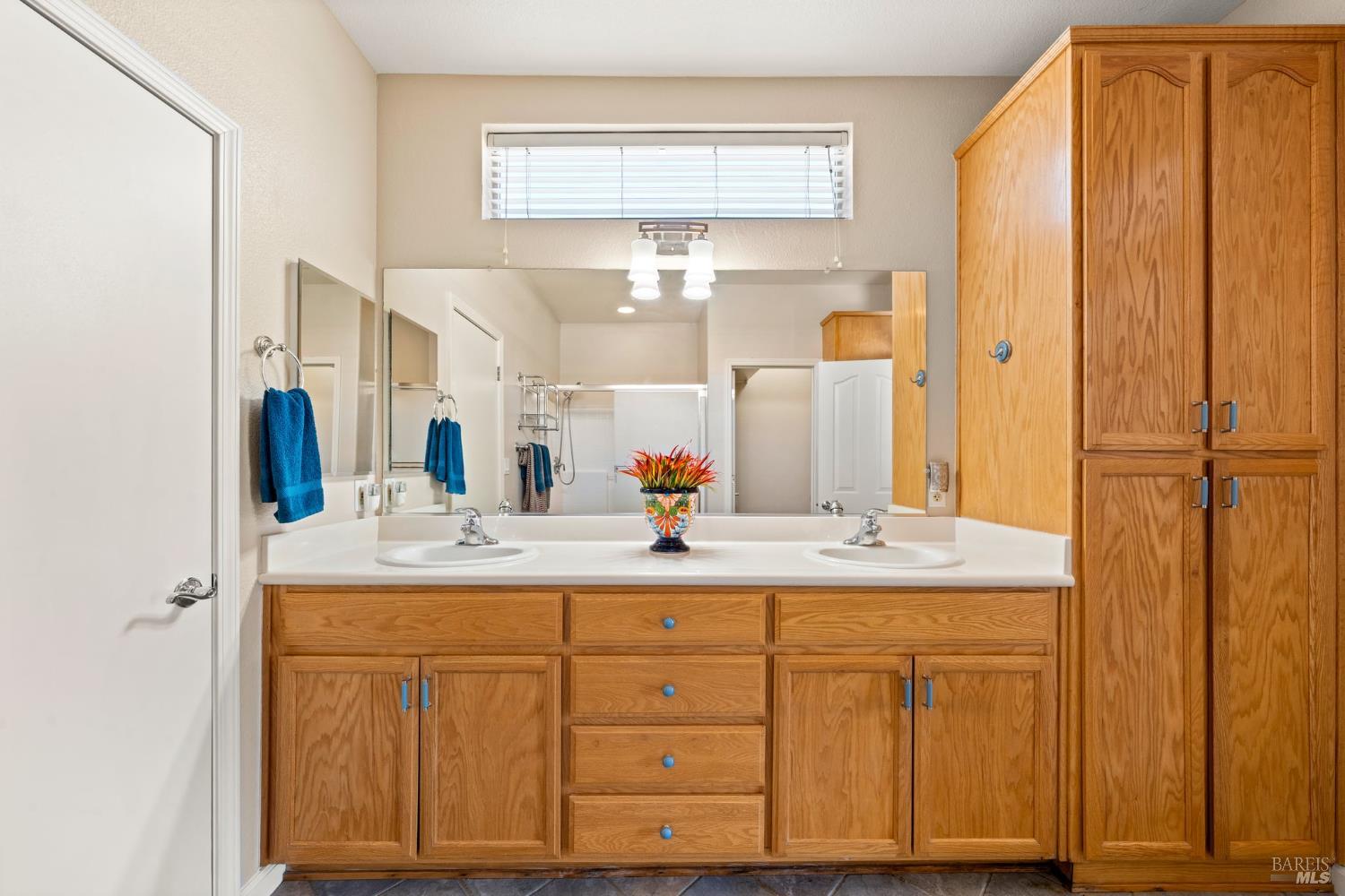 347 Canyon Spring Drive Rio Vista, CA 94571 - Photo 16 of 60 double sinks in primary bath