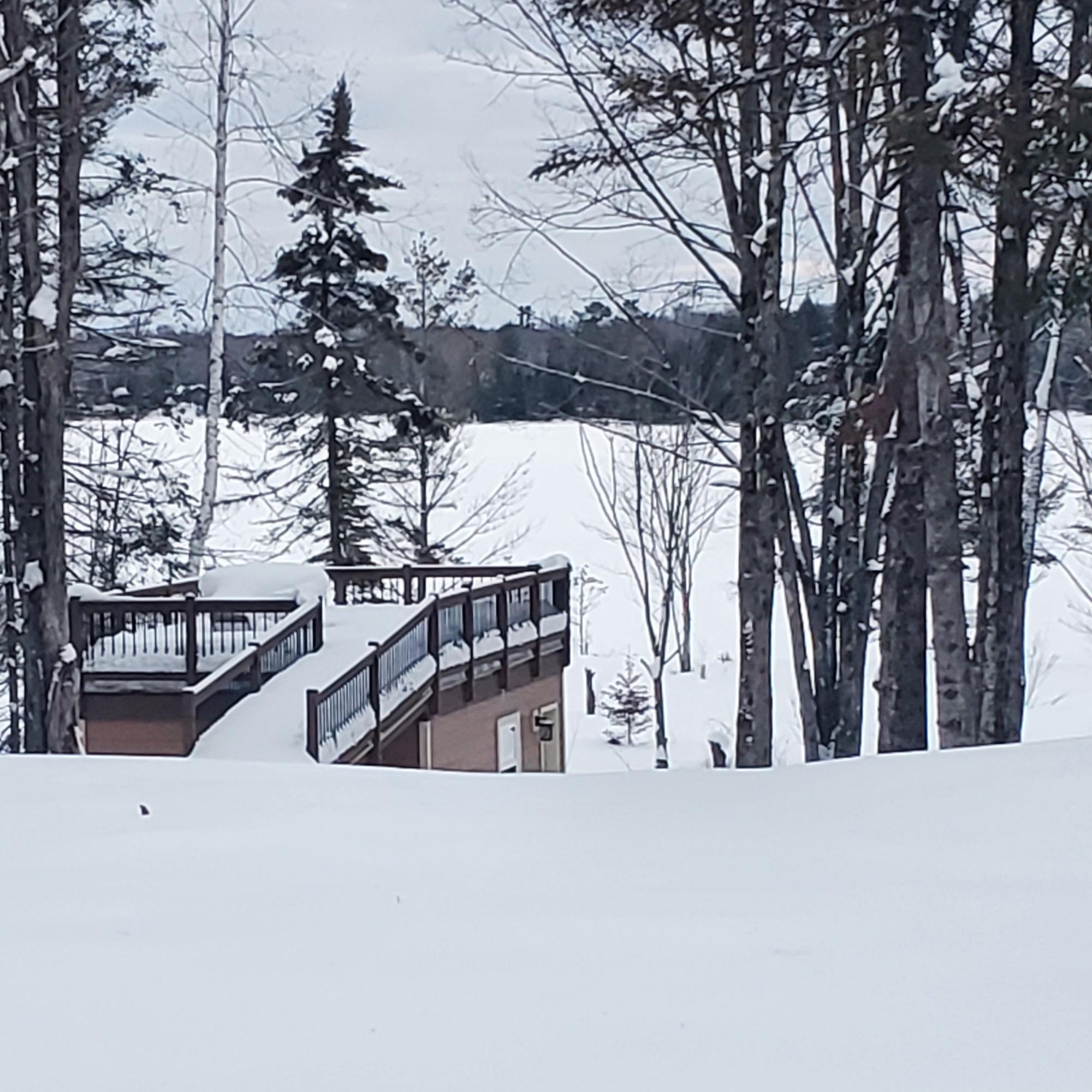 7650 Annabelle Lake Road Presque Isle, WI 54557 - Photo 1 of 69 Gallery Image 1
