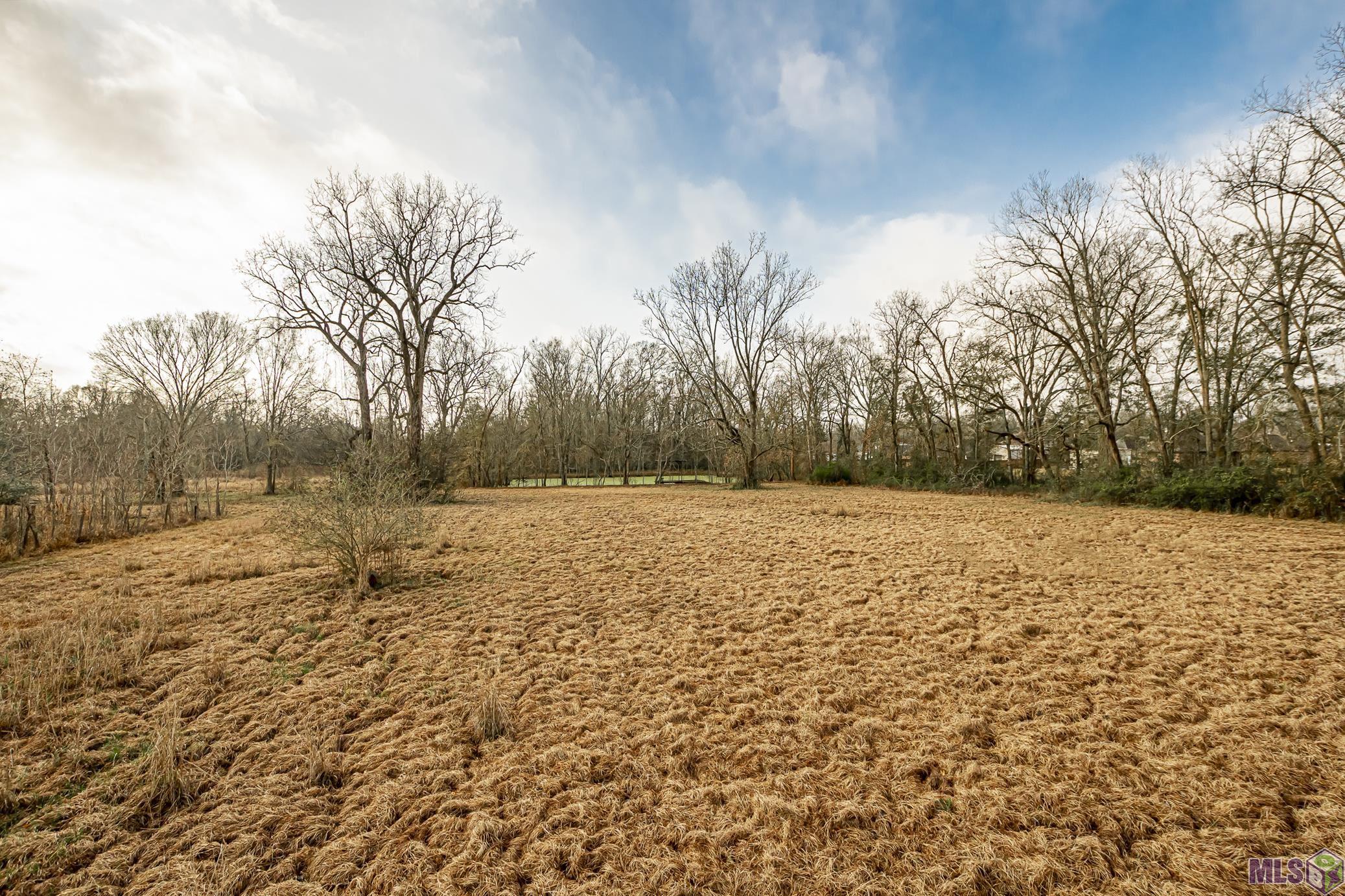 5747 Choctaw Road Brusly, LA 70719 - Photo 6 of 28 Gallery Image 6