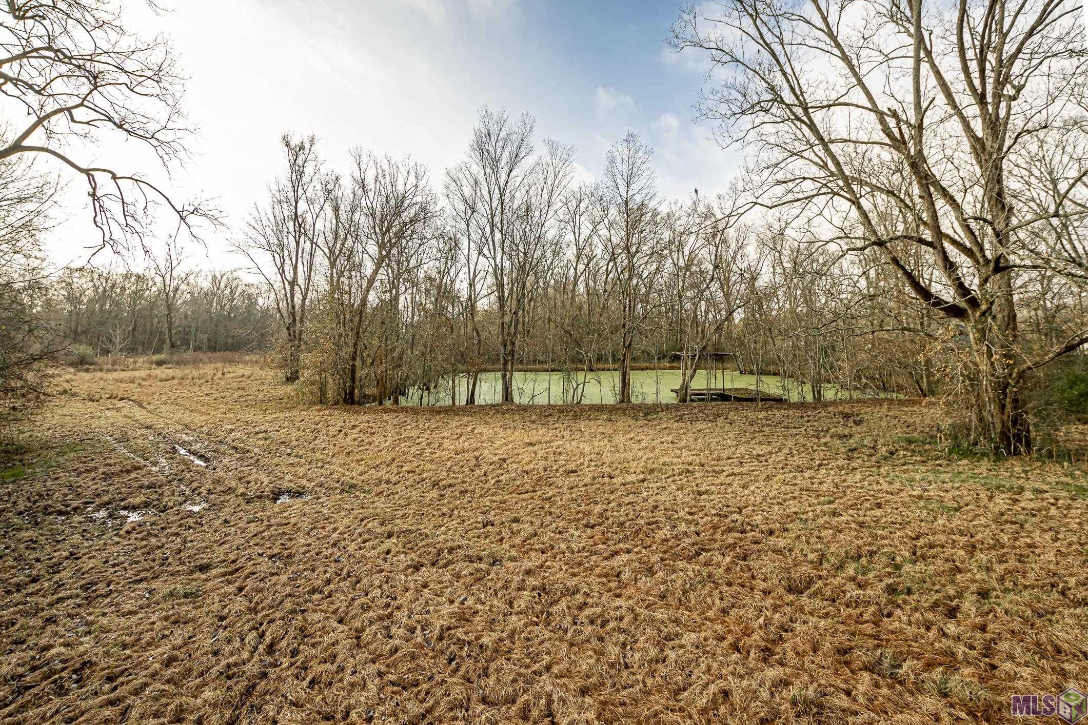 5747 Choctaw Road Brusly, LA 70719 - Photo 7 of 28 Gallery Image 7