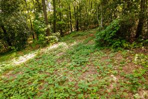 585 Mountain Road Westminster, SC 29693 - Photo 5 of 20 Discover a naturally wooded lot offering serene, private surroundings.
