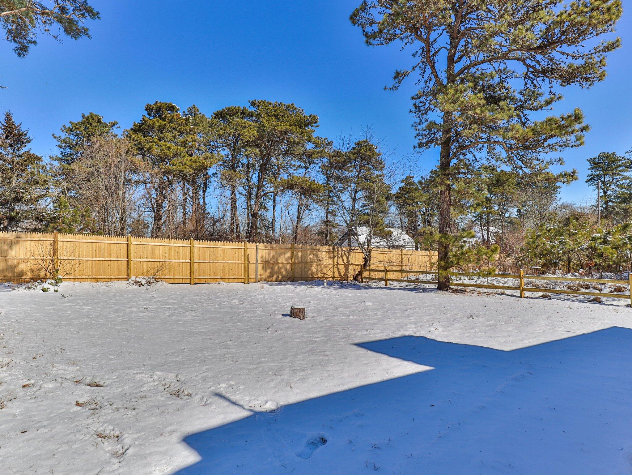 10 Heintz Road Dennis Port, MA 02639 - Photo 12 of 15 a view of tall trees