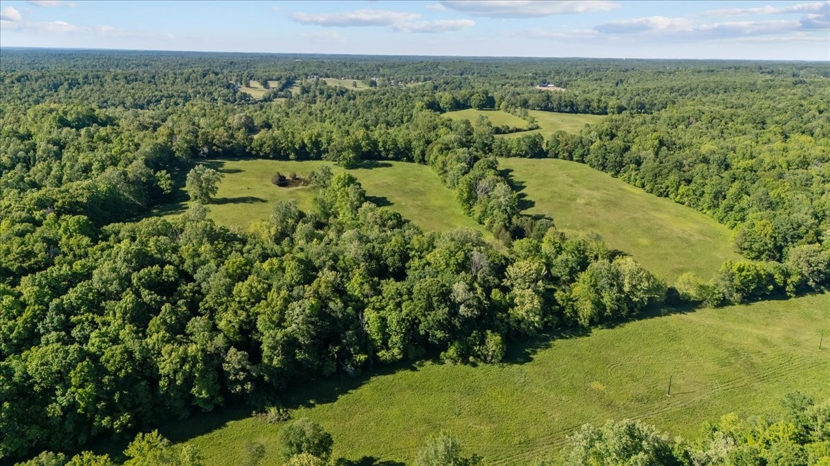 2440 Maple Grove Road Dickson, TN 37055 - Photo 74 of 99 a view of a lush green forest with trees in the background