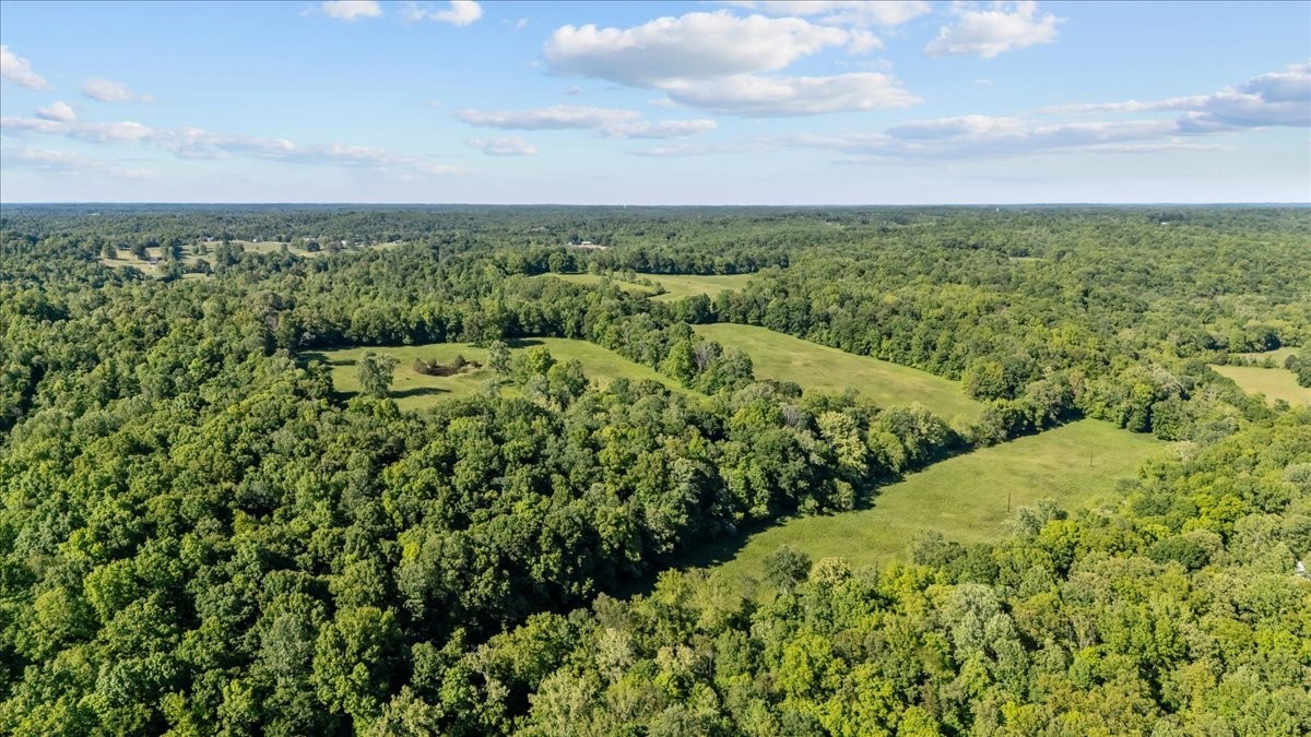 2440 Maple Grove Road Dickson, TN 37055 - Photo 76 of 99