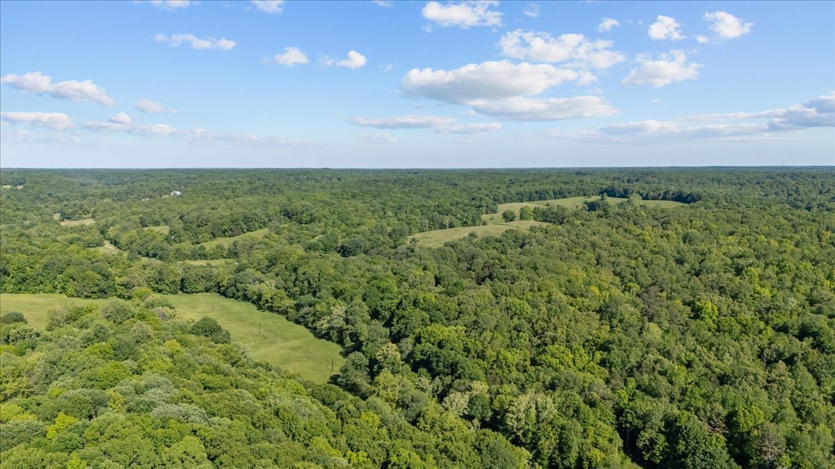 2440 Maple Grove Road Dickson, TN 37055 - Photo 78 of 99 a view of a green field with lots of bushes