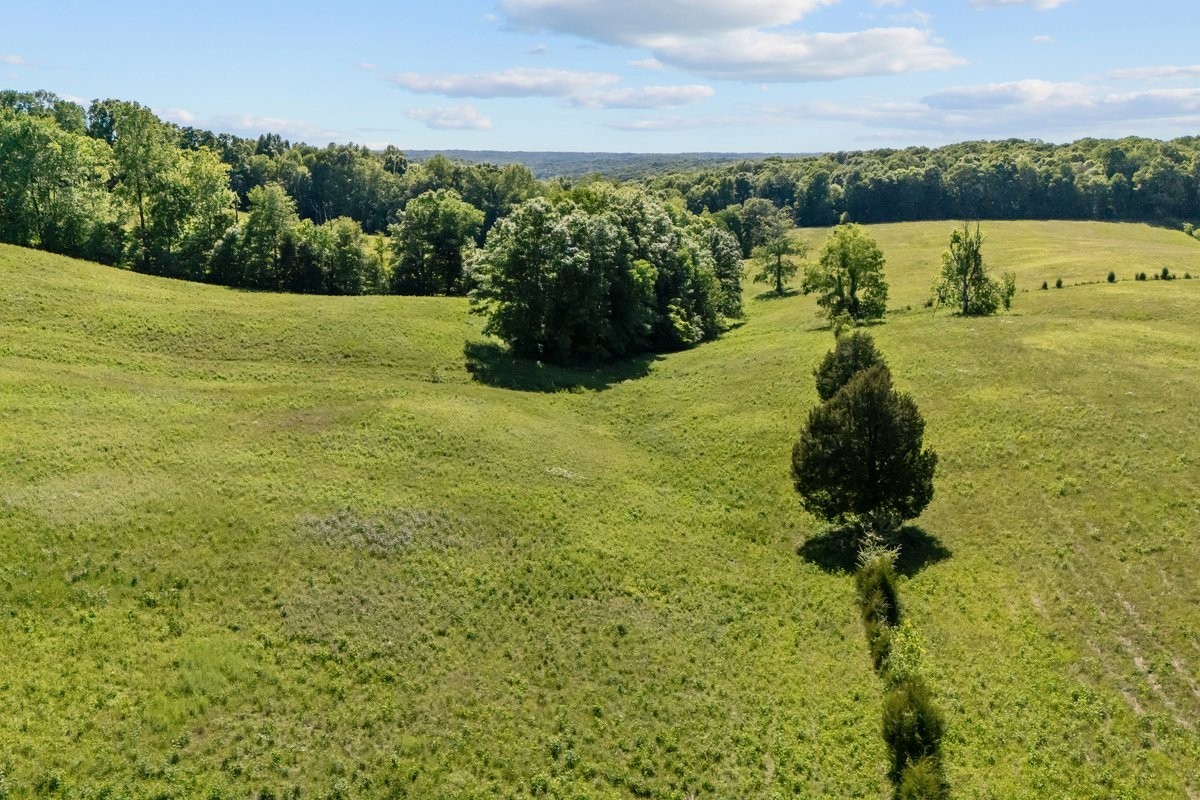 2440 Maple Grove Road Dickson, TN 37055 - Photo 84 of 99