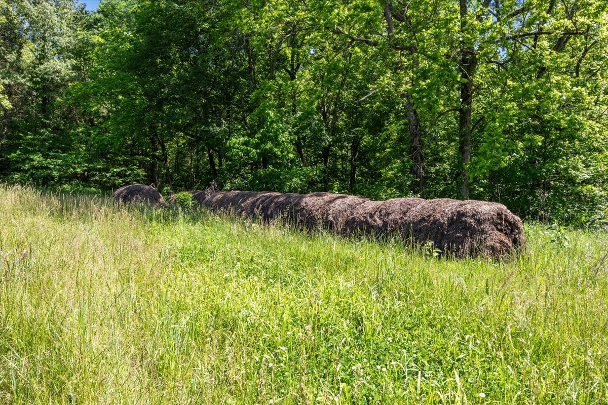 2440 Maple Grove Road Dickson, TN 37055 - Photo 85 of 99